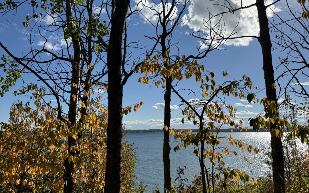 Sylvan Lake Shenanigans