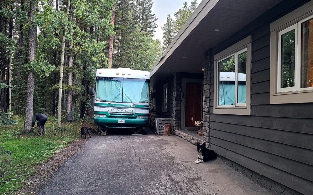Bragg Creek Edition: Family, Friends, and Flying Chihuahuas