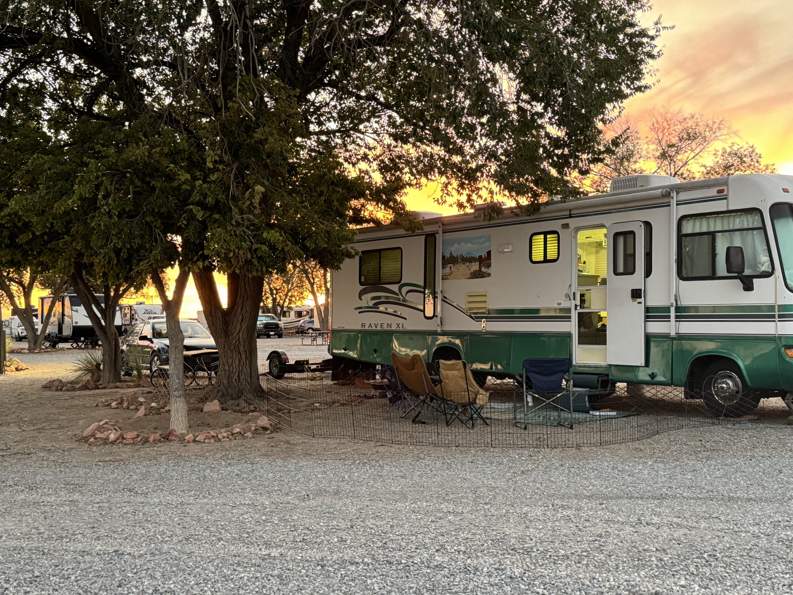 Route 66: Nostalgia, New Finds, and a Chihuahua with Attitude